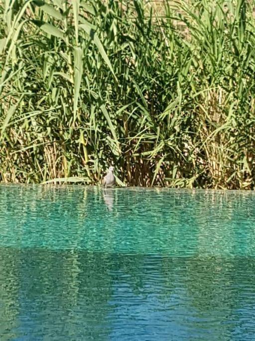 Le Figuier Du Lac Bin Elouidane ภายนอก รูปภาพ